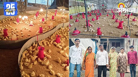 Poultry Farming