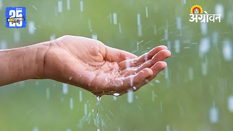 Sangli Rainfall