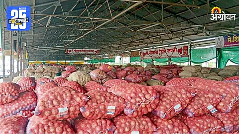 Onion Market