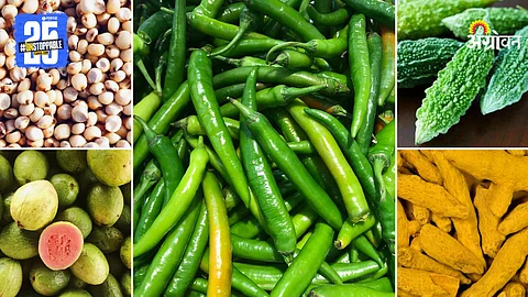 Agriculture Market Products