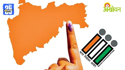 Local Body Elections