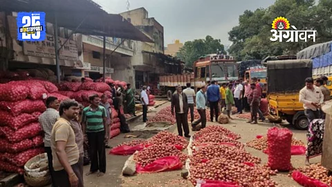 Market Committee