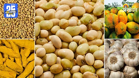 Agriculture Market Products