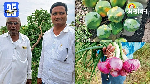 Organic Farming Success