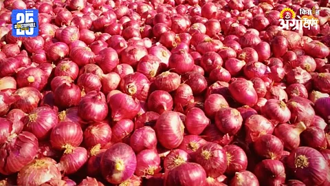 Onion Scam