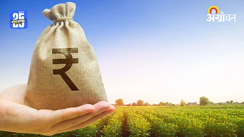 Crop Loan