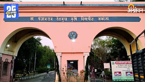 Punjabrao Deshmukh Krushi Vidyapeeth, Akola