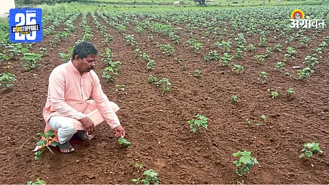 Kharif Crop Issue