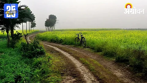 Farm Roads