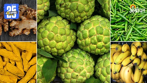 Agriculture Market Products