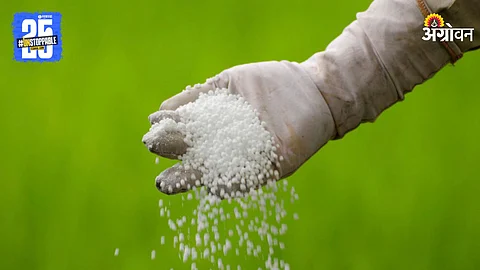 Fertilizers