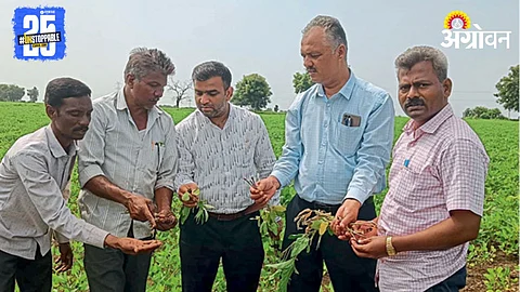 Crop Protection
