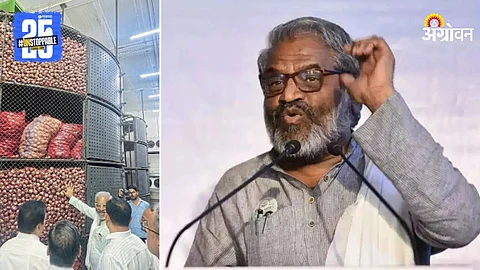 Pasha Patel