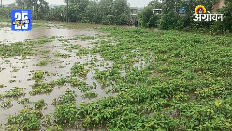 Heavy Rain