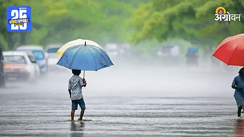 Rain