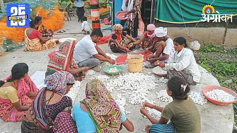 Silk Farming