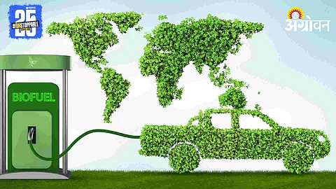 Biofuel Policy