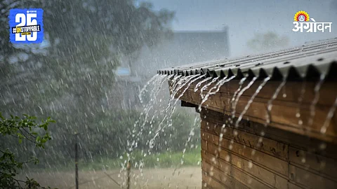 Rain