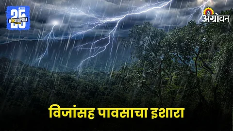 Rain Alert