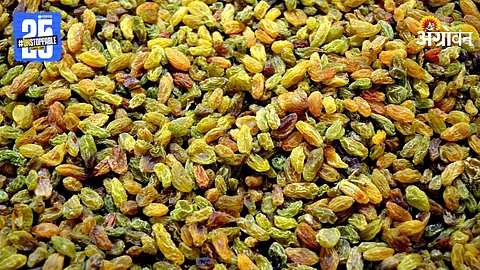 Raisins