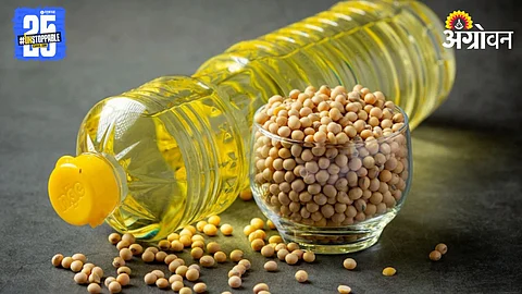 Edible Oil
