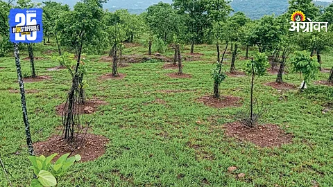 Agriculture
