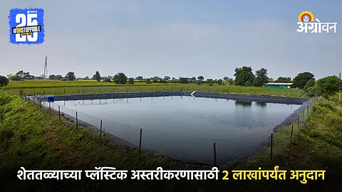 Farm Pond