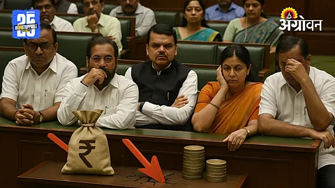 Development Fund