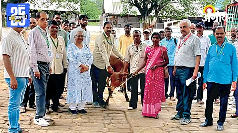 Heifer Donation