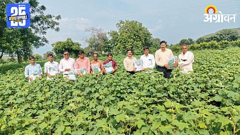 Cotton Farming