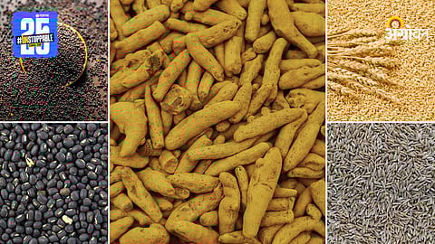 Agriculture Market Products