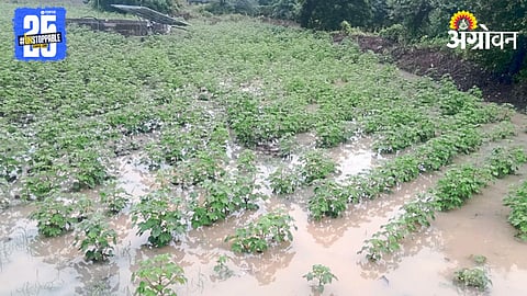 Crop Damage