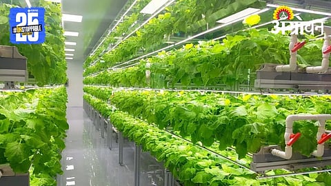 Vertical Farming