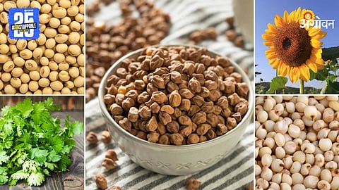 Agriculture Products