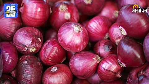 Onion Market