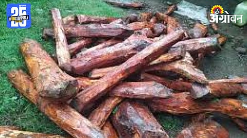 Khair Timber Smuggling