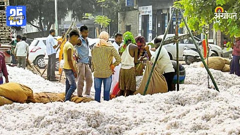 Cotton Market Update