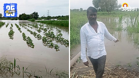 Marathwada Rain: बीड, धाराशिव पुन्हा पावसाच्या रडारवर