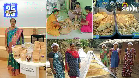 Chiku Processing Industry