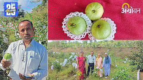 Agriculture Success Story