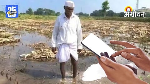 Crop Loss inspection: २६ जिल्ह्यांमध्ये पंचनामे रखडले; दिवाळीपूर्वी भरपाई मिळेल?