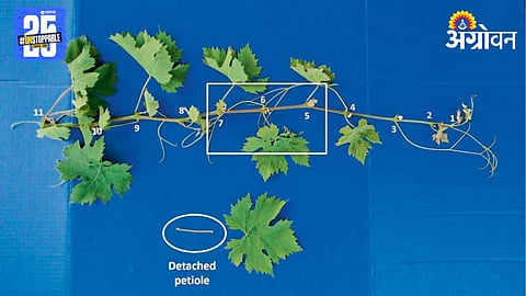 Fertilizer Management