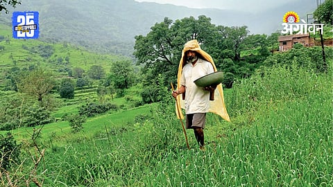 Indian Farmer