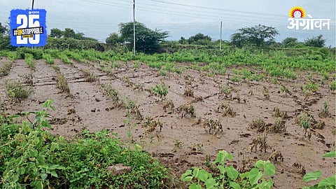 Agriculture Loss