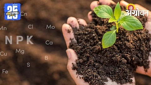 Iron Deficiency in soil