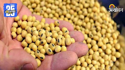 Soybean Export: बांगलादेशच्या निर्णयाचा सोयाबीनला धोका नाही