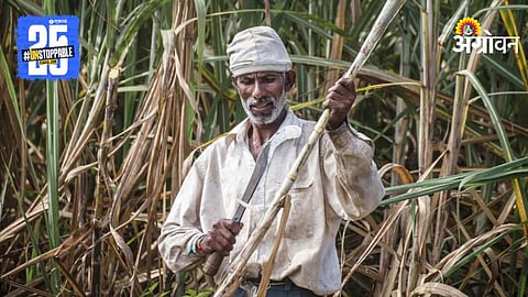 Sugarcane Farmer