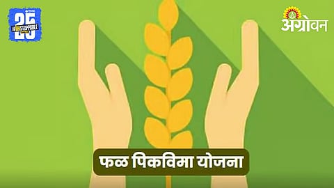 Fruit Crop Insurance