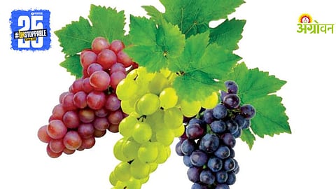Grape Farming Registration