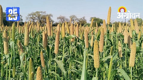 Health Rich Varieties